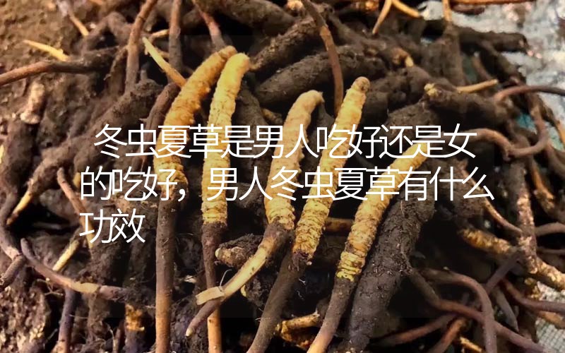 冬蟲夏草是男人吃好還是女的吃好，男人冬蟲夏草有什么作用