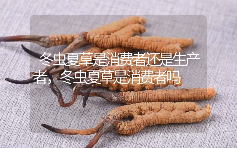 貧血吃冬蟲夏草有效果嗎，貧血虛弱者可以用冬蟲夏草嗎？