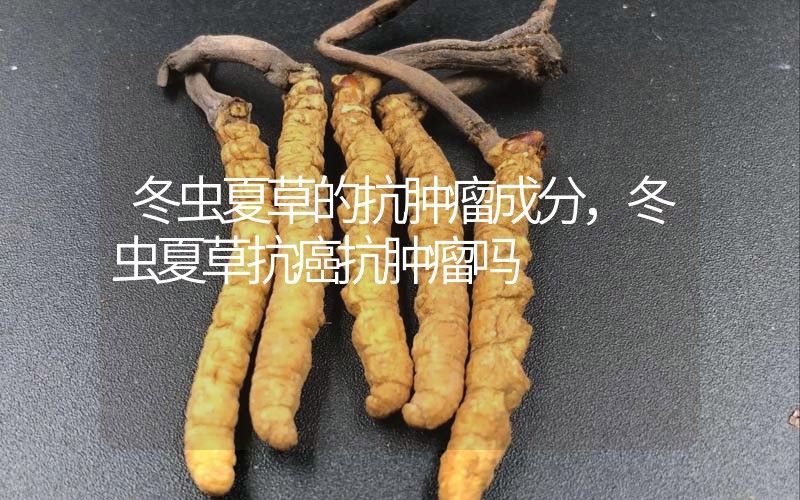 冬蟲夏草的抗腫瘤成分，冬蟲夏草抗癌抗腫瘤嗎？