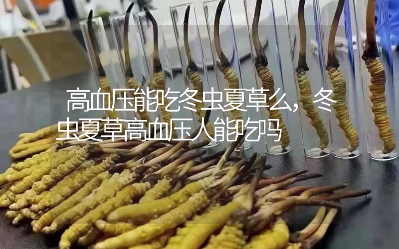 高血壓能吃冬蟲夏草么，冬蟲夏草高血壓人能吃嗎