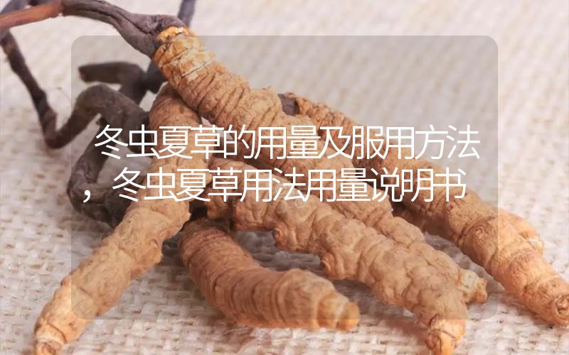 冬蟲夏草的用量及服用方法，冬蟲夏草用法用量