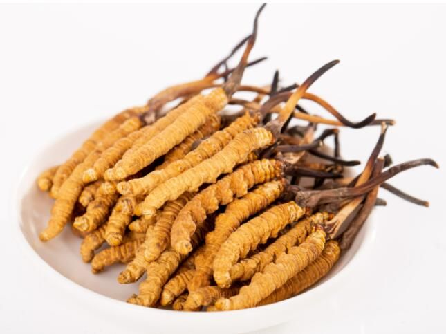 冬蟲(chóng)夏草