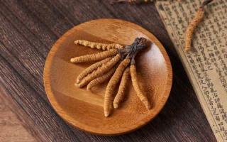 冬蟲夏草會變質嗎？如何防止發霉？