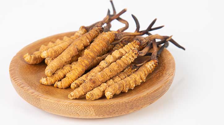 那曲市冬蟲夏草產業發展保護管理協會成功加入中國中藥協會