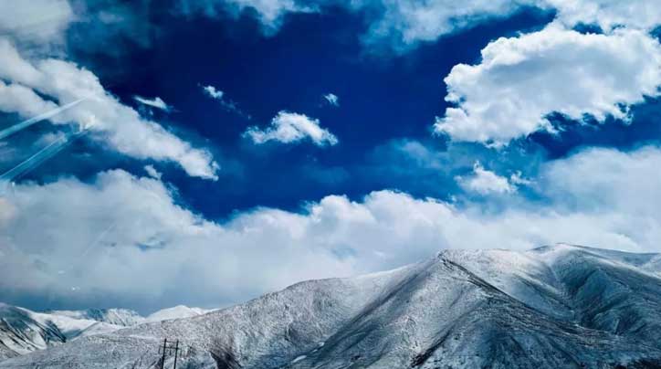 冬蟲夏草：高原秘境中的自然瑰寶與現代健康探索