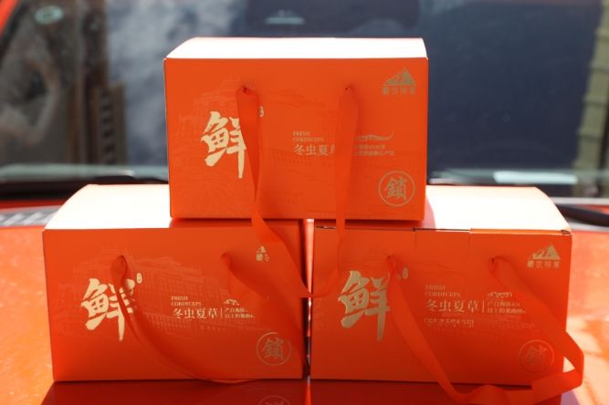 當(dāng)冬蟲夏草邂逅橘色包裝:奢華與文化的交融