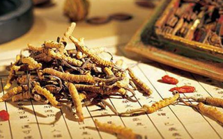 同仁堂健康冬蟲夏草：傳承品質，饋贈健康