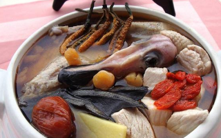 吃鮮冬蟲夏草會過敏嗎？