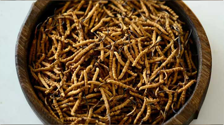 <a href=http://www.dongtai1982.com/jiage/ target=_blank class=infotextkey>冬蟲夏草價格</a>探秘:多因素交織下的市場行情