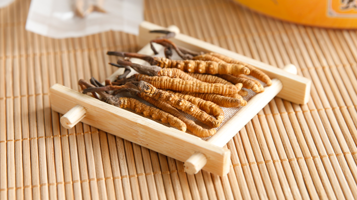 冬蟲夏草一般多少錢一斤?價格背后的價值解析