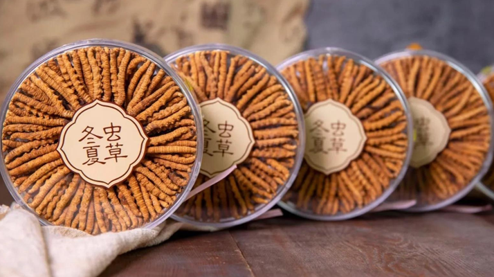 同仁堂<a href=http://www.dongtai1982.com/chanpin/ target=_blank class=infotextkey>冬蟲夏草禮盒</a>：珍稀饋贈，品質之選