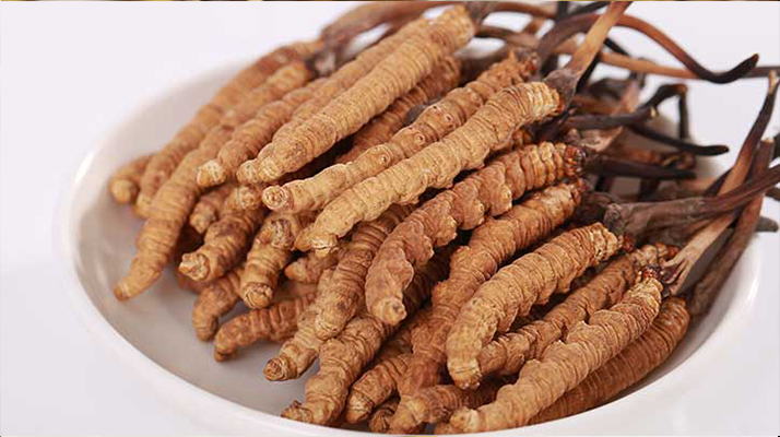 冬蟲(chóng)夏草燉水鴨，搭配這些食材更滋補(bǔ)