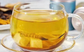 冬蟲(chóng)夏草煮水用什么