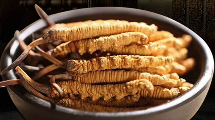 好的<a href=http://www.dongtai1982.com/jiage/ target=_blank class=infotextkey>冬蟲夏草多少錢</a>一克