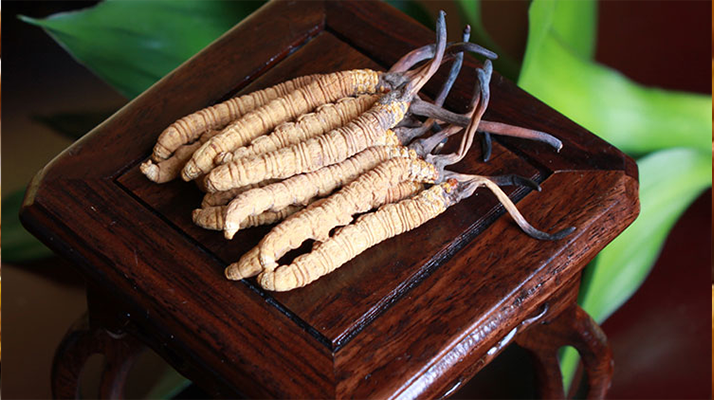 怎樣鑒別<a href=http://www.dongtai1982.com/tag/6.html target=_blank class=infotextkey>冬蟲夏草的產地</a>