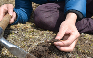 冬蟲夏草怎么區(qū)別真?zhèn)?> </div>
            <div   id=