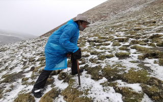 冬蟲夏草長在什么季節?