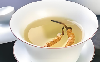 冬蟲夏草泡水喝泡幾分鐘