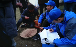 冬蟲(chóng)夏草的一克究竟有多少根？揭秘珍稀中的奧秘