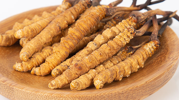 在西藏,冬蟲夏草真的觸手可得?