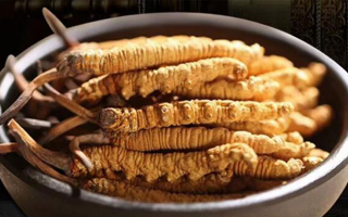 冬蟲(chóng)夏草食用方法與用量指南：科學(xué)滋補(bǔ)的關(guān)鍵把控