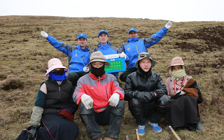 西藏冬蟲夏草的主要產(chǎn)地：品質(zhì)與地域特色詳解
