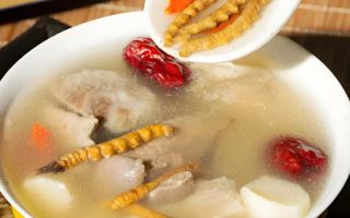 野生冬蟲夏草一根多少錢？多因素影響下的價格剖析