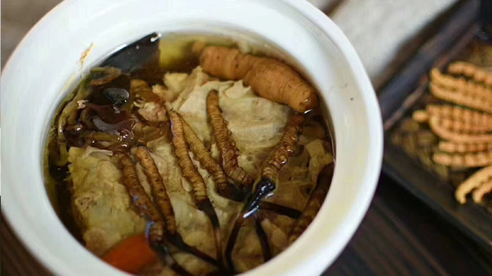 冬蟲夏草正常燉幾分鐘?掌握時長讓滋補更高效