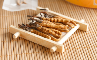 冬蟲(chóng)夏草怎么燉比較好？解鎖營(yíng)養(yǎng)不流失的燉煮指南