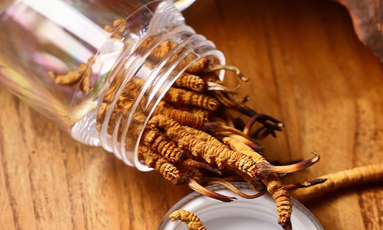 <a href=http://www.dongtai1982.com/jiage/ target=_blank class=infotextkey>冬蟲夏草多少錢</a>一條 