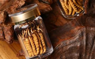 鮮冬蟲夏草泡水后怎么保存？3 種場景保存方法 + 避坑指南