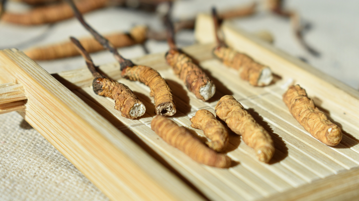 斷的<a href=http://www.dongtai1982.com/ target=_blank class=infotextkey>冬蟲夏草</a>一克啥價