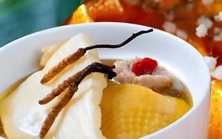 黃芪能和西藏那曲的冬蟲夏草一起燉嗎？