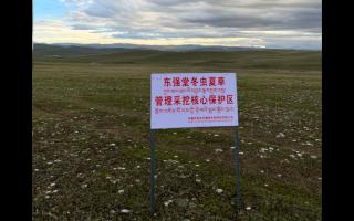 高原之上，蟲草共生；守護生態，東強堂與你同行