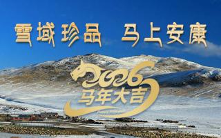 雪域高原藏珍品，2026愿您馬上安康——來自西藏那曲蟲草網的新春祝福